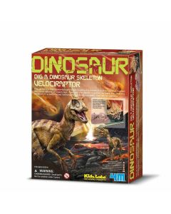 4m Cavar Un Esqueleto de Velociraptor