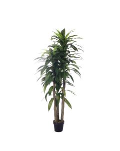 Concepts Planta Artificial 592-311701