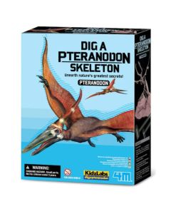 4M Dinosaurio Pteranodon Skeleton