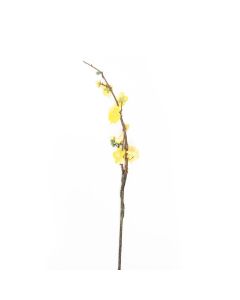 Generica Planta Decorativa - Modelo: Y15066-T15-J40161