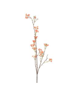 Generica Planta Decorativa - Modelo: Y15066-T15-J40165