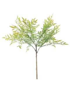 Generica Planta Decorativa - Modelo: Y15066-T15-J40267