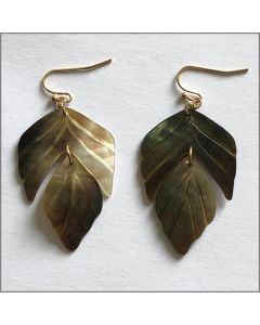 Genérico Aretes para Dama - Brown - Modelo: Ae50521