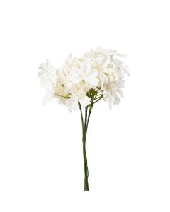 Generica Ramo de Flores 40 cm - 10 piezas - Modelo: Y15099-T15-MH93