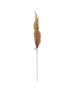 Concepts Planta Decorativa