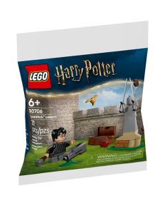 Lego Clase de Quidditch