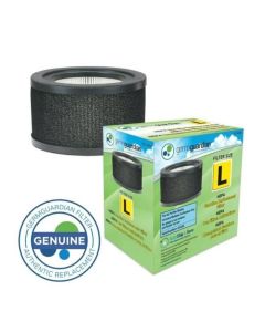 Filtro Purificador De Aire Germguardian Flt4200 Compatible Ac4200