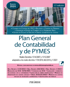 Plan General de Contabilidad y de Pymes