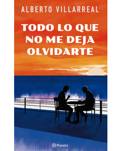 Todo lo que No me Deja Olvidarte