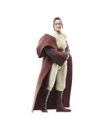 Star Wars Jedi Master Indara