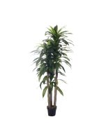 Concepts Planta Artificial 592-311701