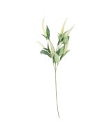 Generica Planta Decorativa - Modelo: Y15066-T15-J40160