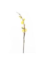Generica Planta Decorativa - Modelo: Y15066-T15-J40161