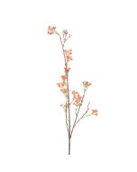 Generica Planta Decorativa - Modelo: Y15066-T15-J40165