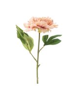 Generica Planta Decorativa - Modelo: Y15066-T15-J40167
