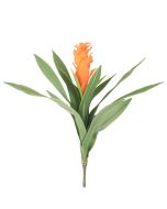 Generica Planta Decorativa - Modelo: Y15066-T15-J40244
