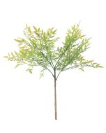 Generica Planta Decorativa - Modelo: Y15066-T15-J40267