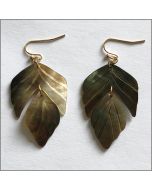 Genérico Aretes para Dama - Brown - Modelo: Ae50521