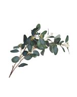 Concepts Planta Artificial Eucalipto 113 cm