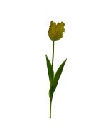 Concepts Flor Decorativa Tulipán 15 x 77 cm - Modelo: 456-512976
