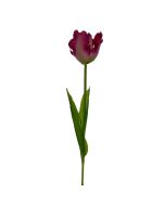Concepts Flor Decorativa Tulipán 15 x 77 cm - Modelo: 456-512977