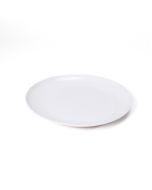 Generica Plato 25 cm - Modelo: Y156159-T15-2710