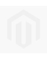  Kidkraft Adventure Tracks Dino World Stego Loop