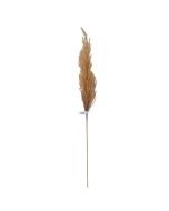 Concepts Planta Decorativa
