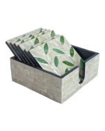 Concepts Porta Vasos 12 cm - 6 piezas