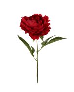 Santini Peonia Decorativa 56 cm