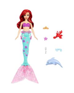 Ariel y Accessorios